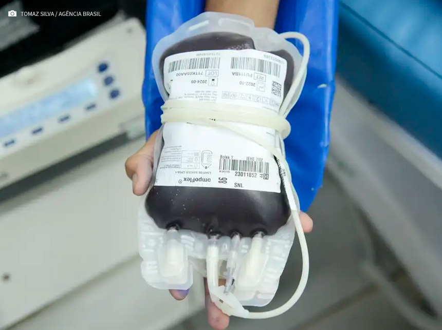 Dia Mundial do Doador de Sangue: saiba mais sobre a doação regular