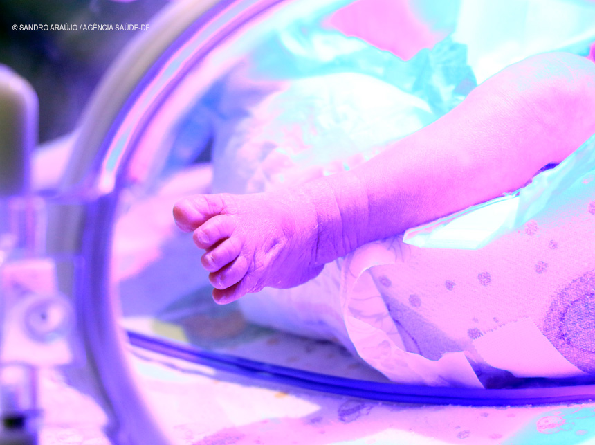 Novembro Roxo: ações em hospitais do DF orientam sobre cuidados de bebês prematuros