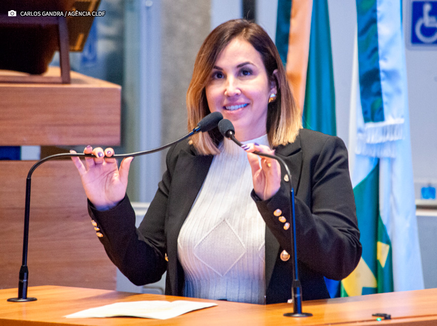 CLDF realiza solenidade em comemoração ao Dia Internacional do Voluntário, nesta terça (5)