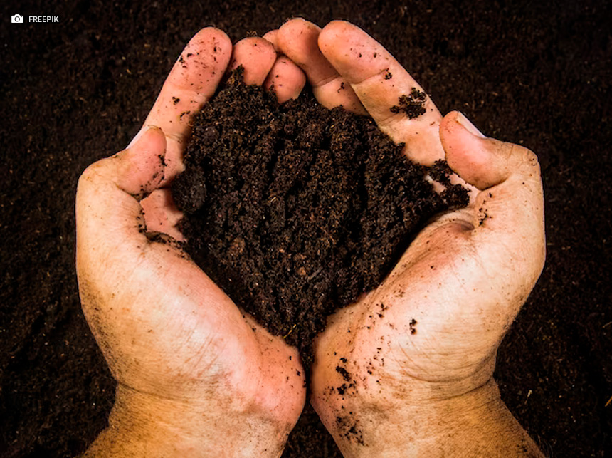 Fertilizante livre de químicos (…) O que está em jogo 4.