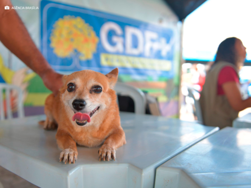 GDF Mais Perto do Cidadão faz última parada de 2023 em Ceilândia
