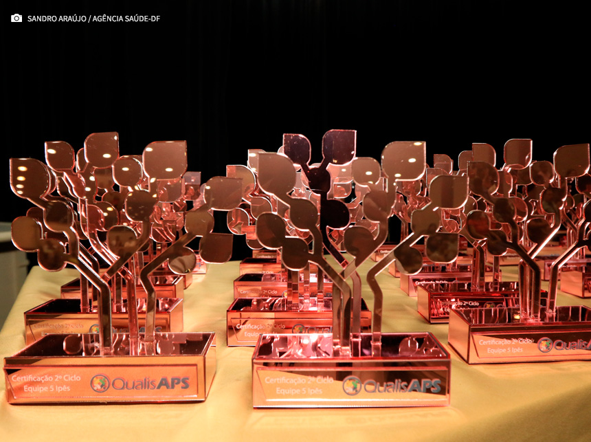 Selo de qualidade Ipê: iniciativa premia equipes de Atenção Primária à Saúde no DF