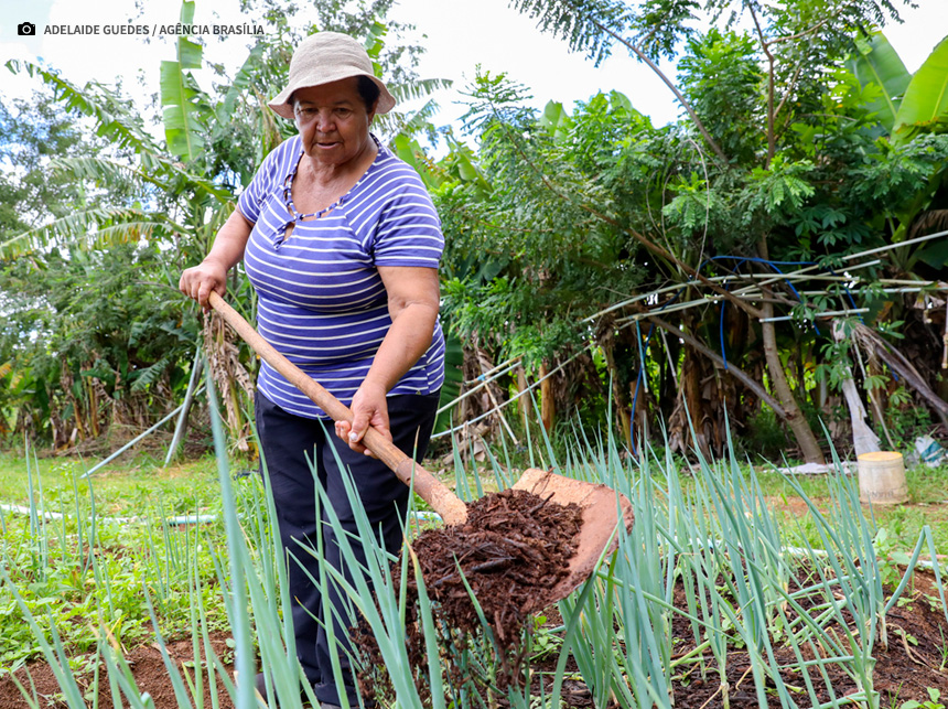 Combate à dengue ajuda produtores rurais do DF com matéria-prima