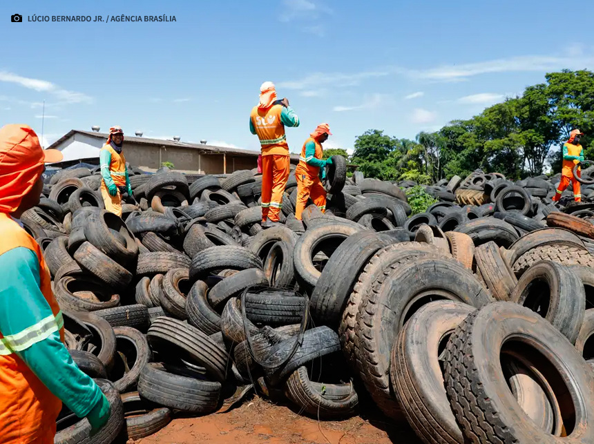 Brasil pode registrar até 4,2 milhões de casos de dengue em 2024