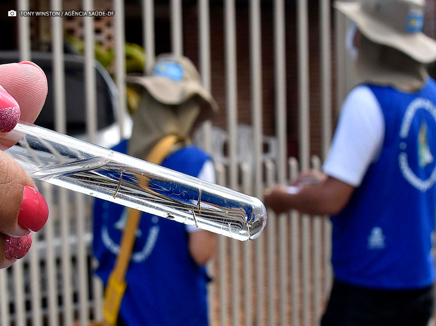 Por que os casos de dengue aumentam no verão?