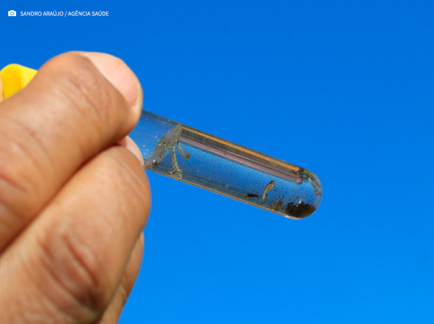 Combate a dengue: Ibaneis decreta situação de emergência na saúde no DF