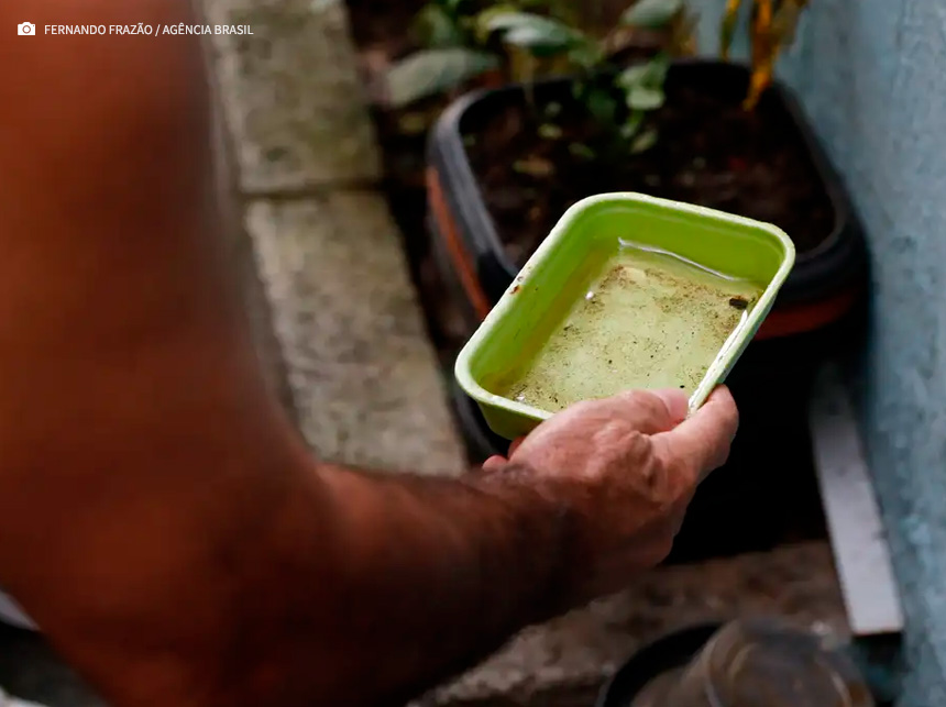 Vacina da dengue agrega outras estratégias de combate, diz ministério