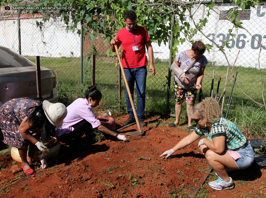 Quais repelentes posso usar contra o mosquito da dengue?