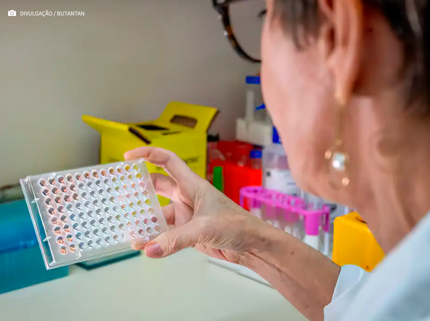 Butantan desenvolve teste que detecta leptospirose em estágio inicial