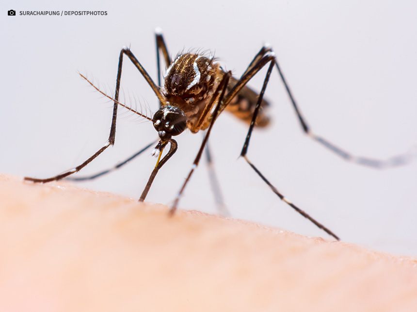 Brasil supera 3 milhões de casos de dengue em 2024