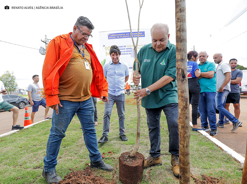 Programa de Arborização vai plantar 100 mil mudas nativas no DF em 2024
