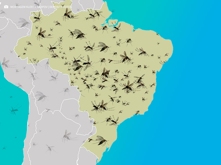 Minas Gerais responde por um em cada três casos de dengue no país