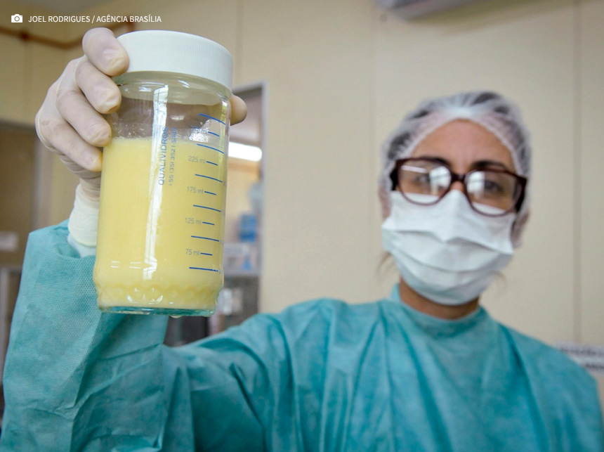 19 de maio: data nacional e mundial conscientiza sobre a doação de leite materno