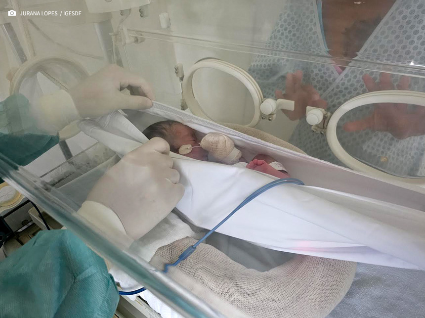 Redinhas são utilizadas na UCIN do HRSM como forma de estimulação de recém-nascidos