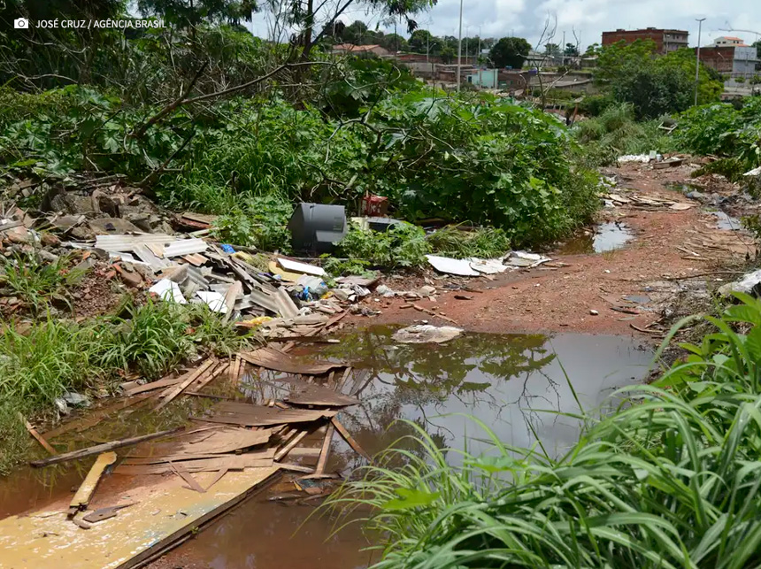Universidade de Brasília faz pesquisas para controlar Aedes aegypti