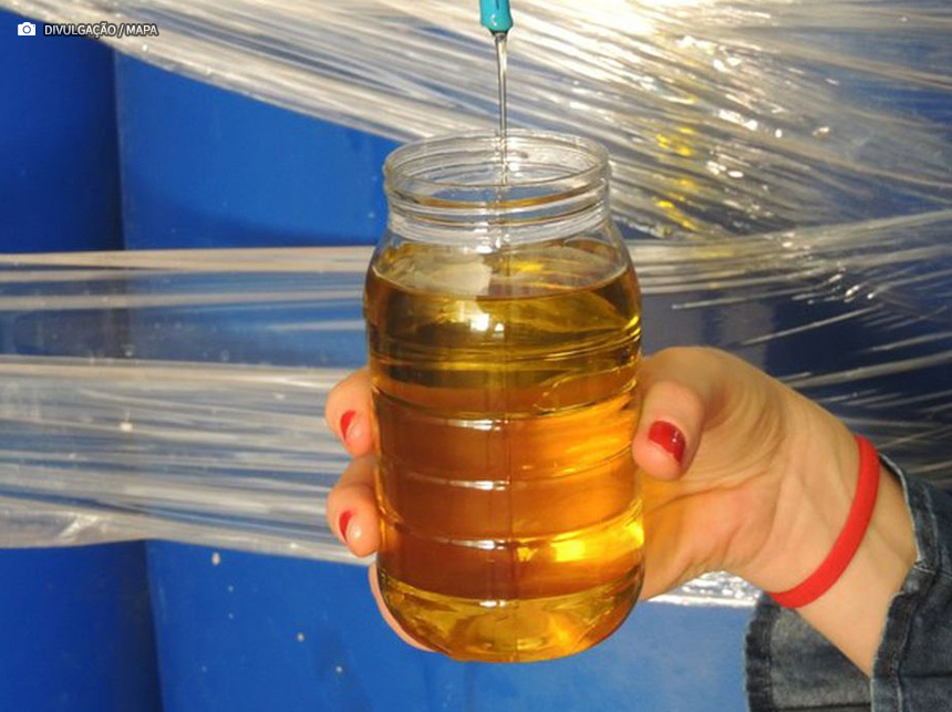 Ministério da Agricultura manda recolher dez marcas de azeite
