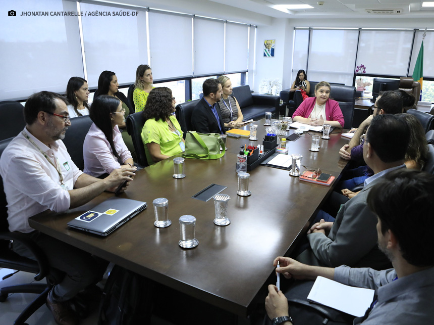 Secretária de Saúde se reúne com pesquisadores para discutir soluções e práticas no combate à dengue no DF