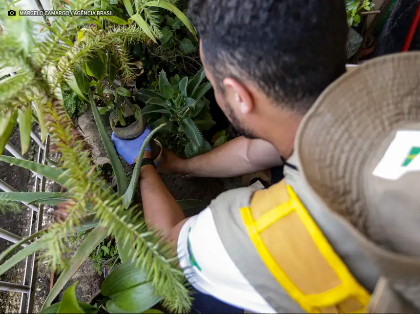 Dia D: secretarias de saúde promovem ações de combate à dengue