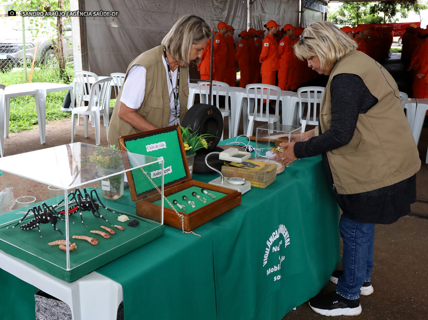 Dia D de combate à dengue chega a Santa Maria