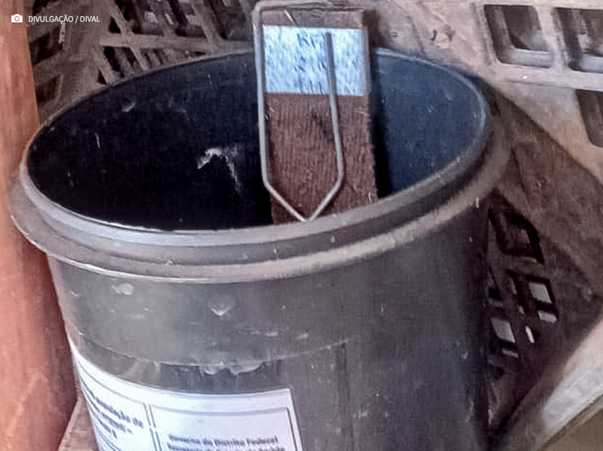 Armadilha contra a dengue mapeia áreas de maior incidência do Aedes aegypti