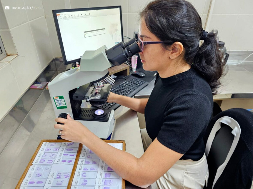 Médico patologista é fundamental para análise e diagnóstico de diversas doenças