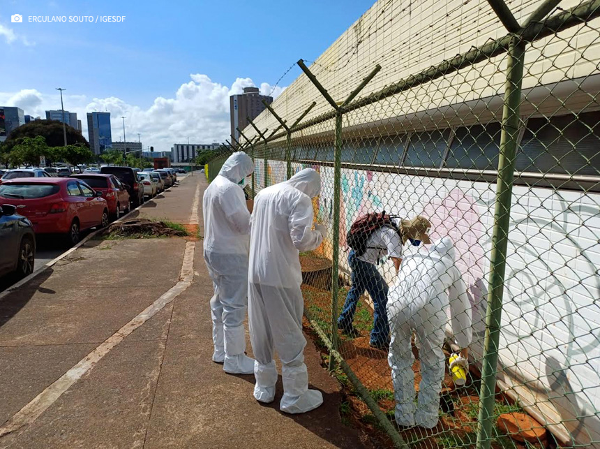 HBDF intensifica ações preventivas para o controle de pragas