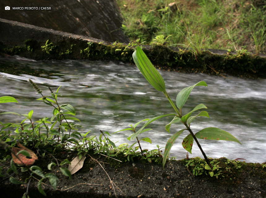 Pesquisa avaliará recursos hídricos em áreas de proteção de mananciais