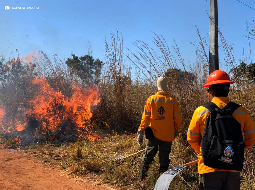 Ibaneis publica decreto para contratação de 150 brigadistas florestais para combate a incêndios