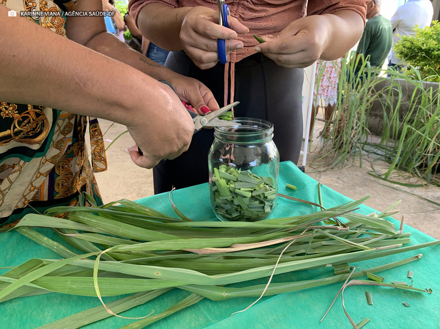 UBS 7 de Samambaia realiza dia de conscientização sobre a dengue