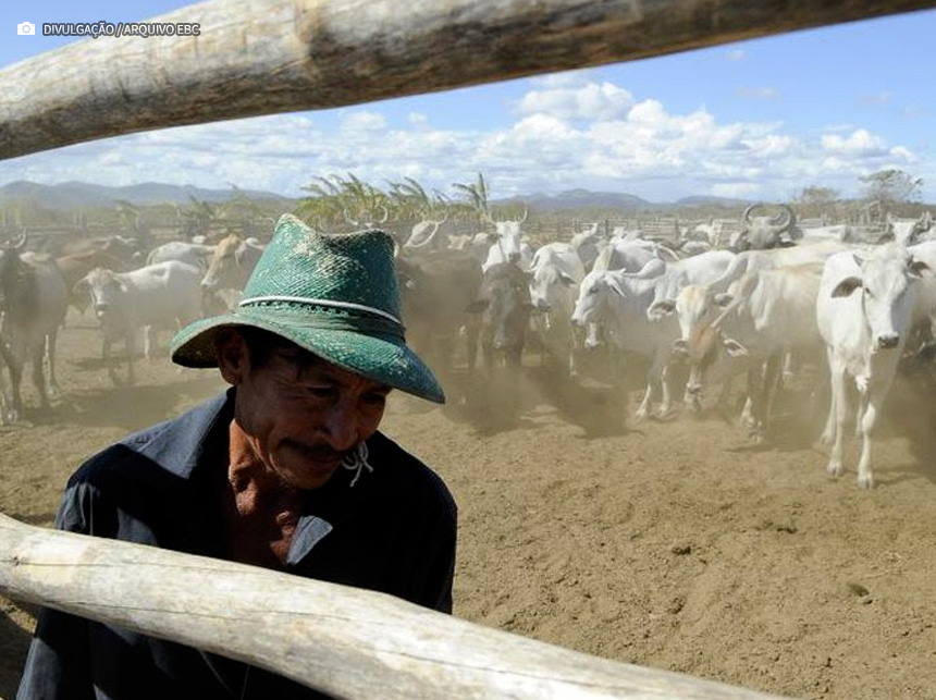 Conheça as atividades produtivas e regiões nas quais produtores rurais poderão renegociar o crédito rural