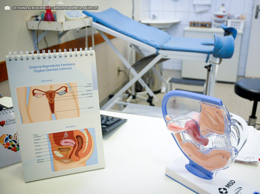 Dia Internacional da Luta contra a endometriose: conheça os sintomas e tratamentos da doença