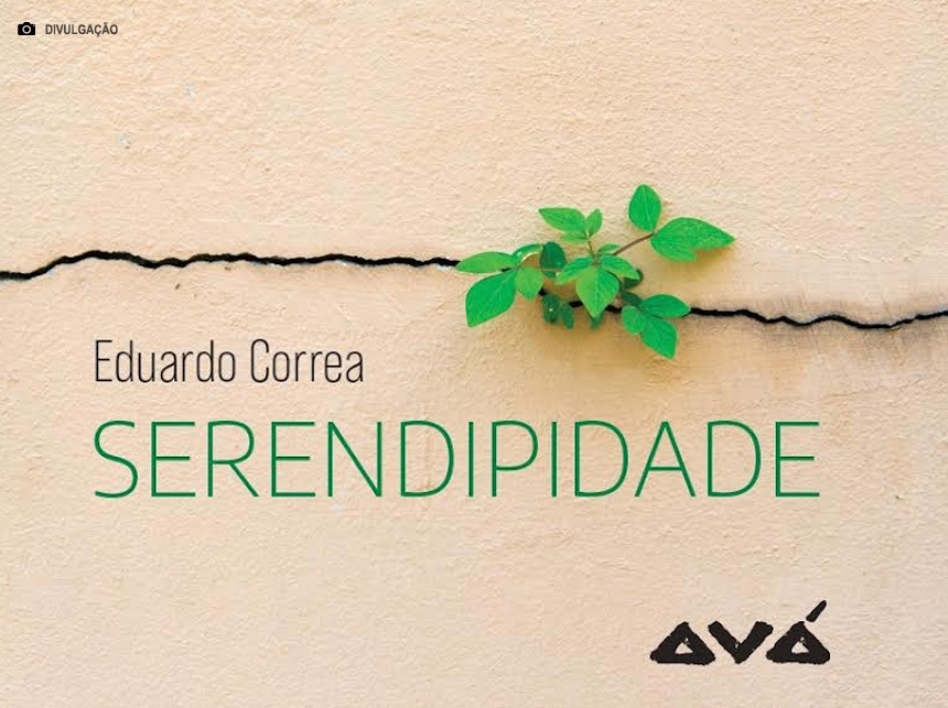 Poesias se unem à fotografias no livro Serendipidade