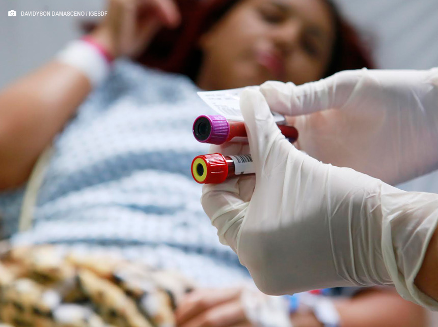 Atendimentos de dengue nas UPAs no DF aumentaram quase 300% em 2024