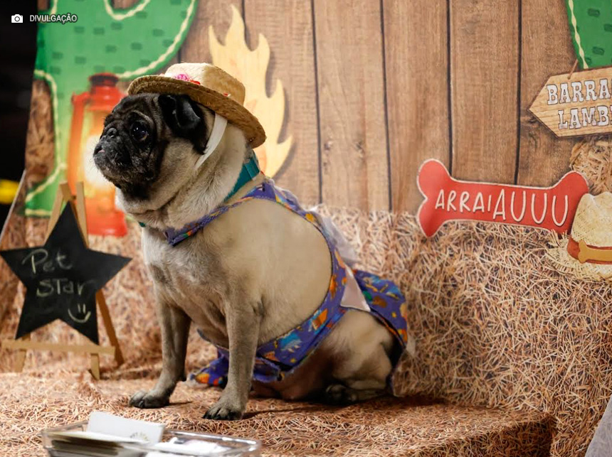 Festa Julina do Boulevard Shopping Brasília para a família e os pets