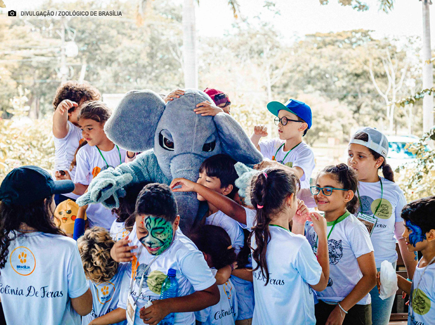 Colônia de Feras do Zoológico de Brasília estão com inscrições abertas