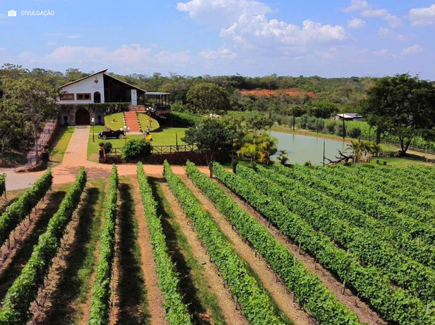 Distrito Federal sedia evento que reunirá a cadeia produtiva de vinhos