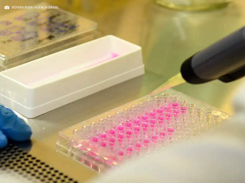 Vírus zika pode voltar a se replicar após recuperação, aponta estudo