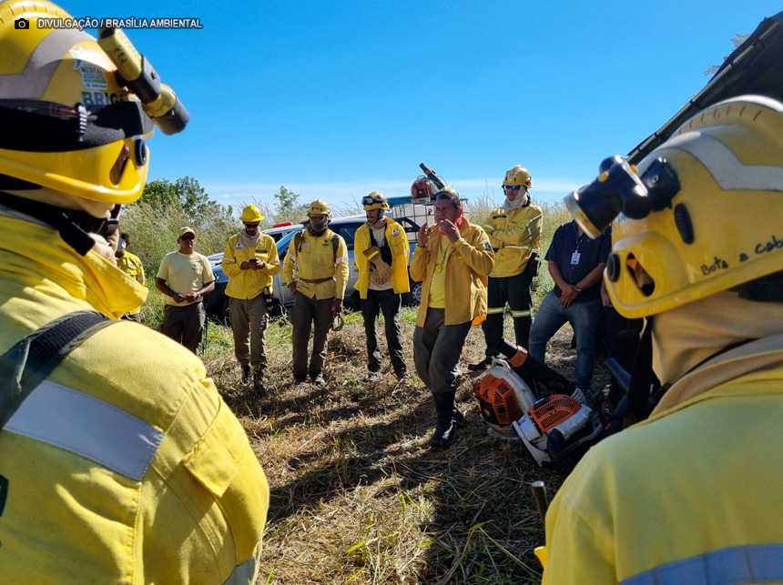 Central de Denúncias de Incêndios Florestais é criada