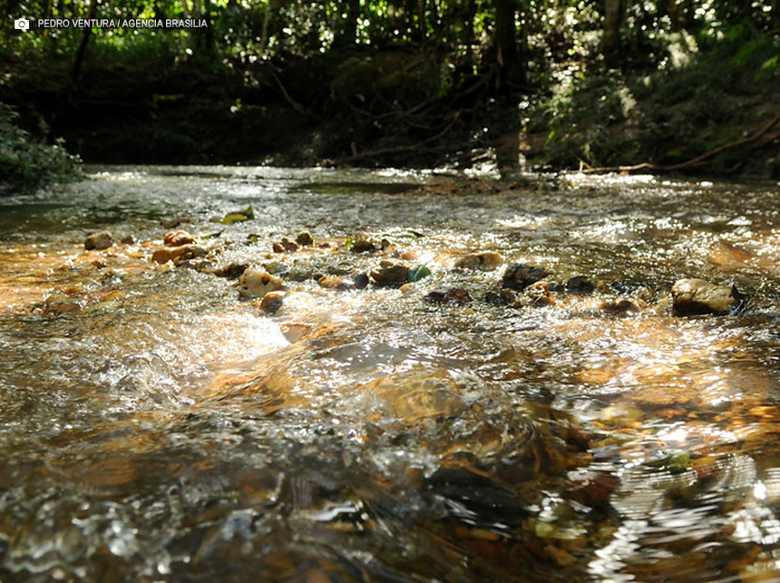 Pesquisadores vão avaliar impactos ambientais em áreas de proteção de mananciais no DF