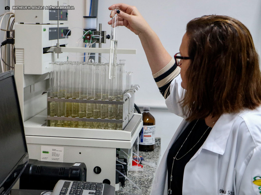 Unidades de conservação do DF auxiliam pesquisa para tratamento de diabetes