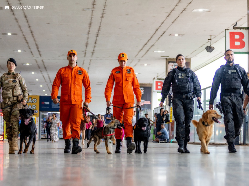 Segurança Pública do Distrito Federal divulga novo plano estratégico