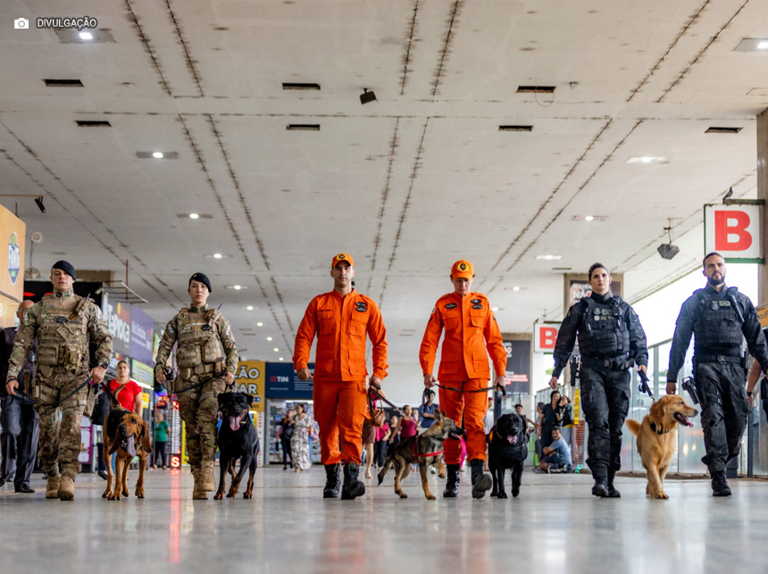 DF registra menor número de homicídios em 25 anos