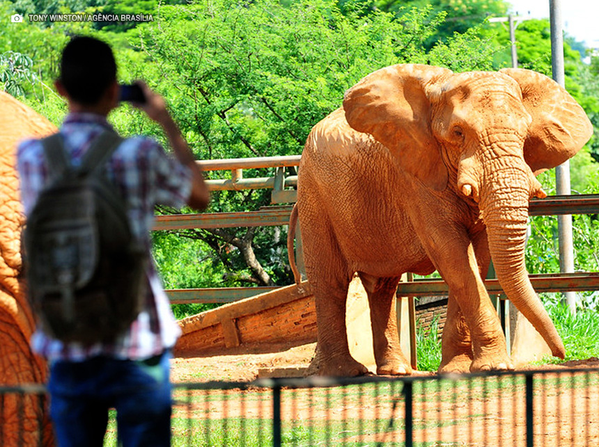 Lei amplia meios para pagamento de taxas de serviços públicos no DF