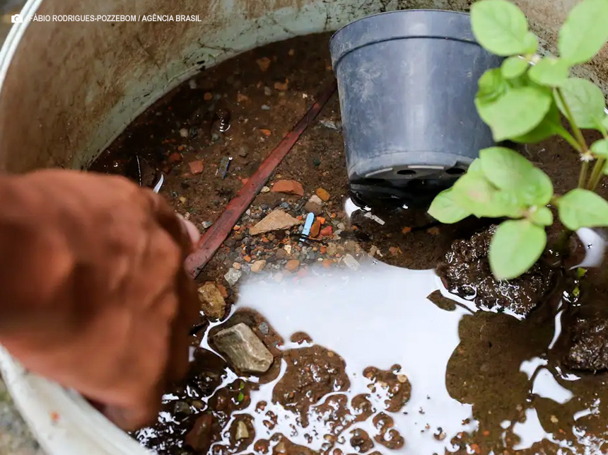 Brasil ultrapassa marca de 5 mil mortes por dengue