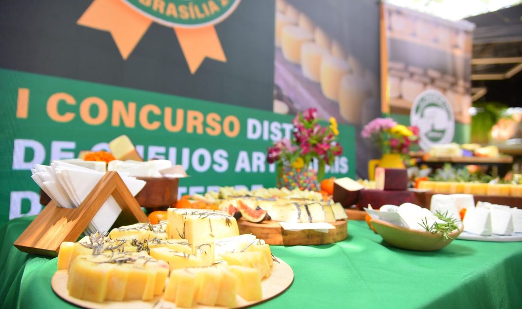 Primeira edição de concurso distrital premia 40 queijos artesanais