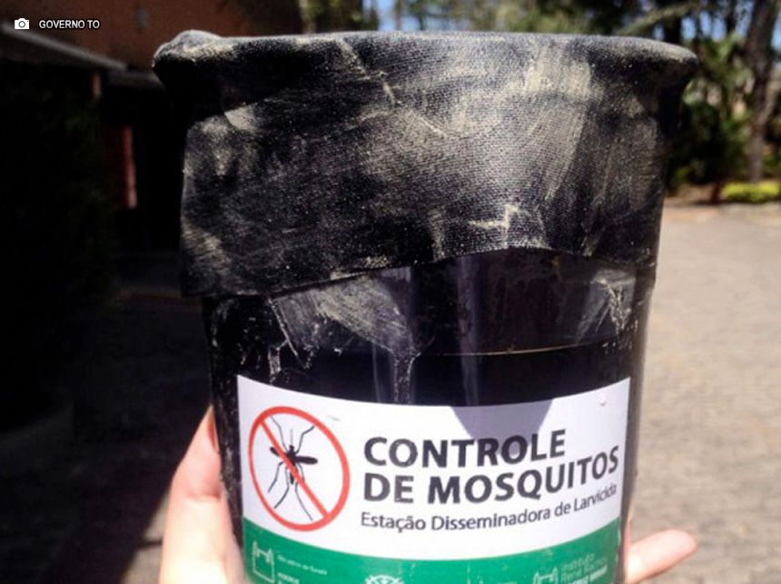 Entenda técnica que faz mosquito levar larvicida a seus criadouros