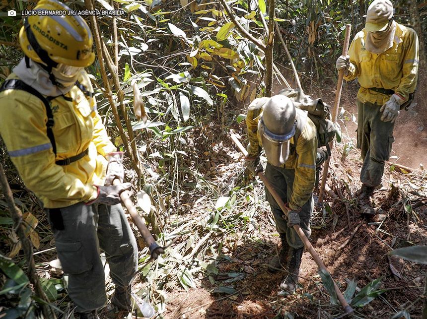 Com fogo no Parque Nacional controlado, bombeiros e brigadistas trabalham no resfriamento do solo