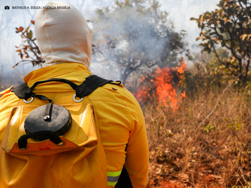 Semana do Cerrado: Ação educativa no Lago Oeste conscientiza 700 crianças sobre incêndios florestais