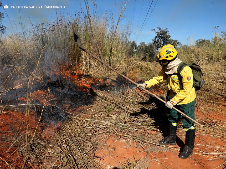 Saiba quais são os canais para denunciar incêndios florestais no DF