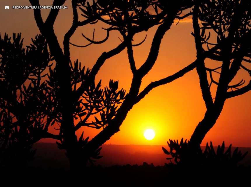 Concurso de redação destaca impacto das mudanças climáticas nos biomas Cerrado e Amazônia